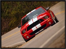 Super, Shelby, Ford Mustang