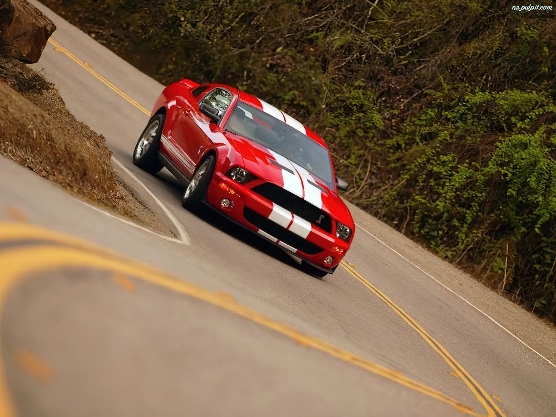 GT 500, Shelby, Czerwony, Ford Mustang